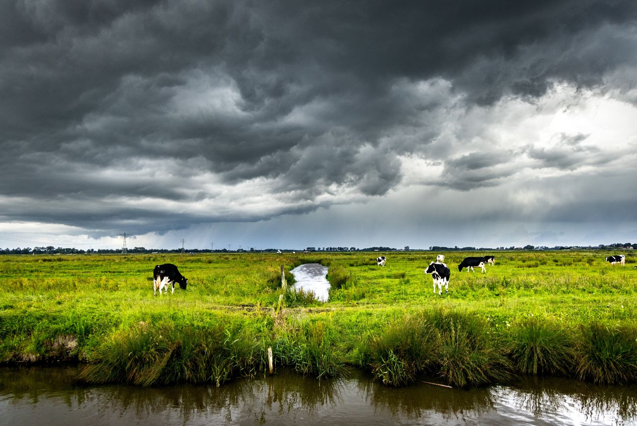 Dit is de weersverwachting voor de komende dagen