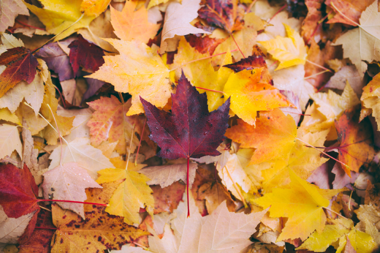 Deze verrassende dingen doet de herfst met je lichaam
