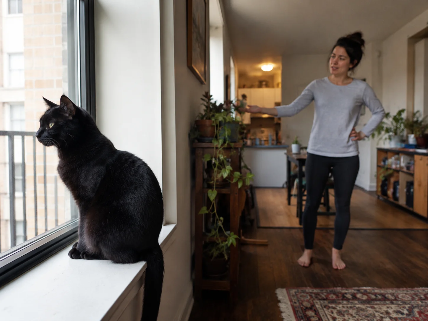 Dat je kat je met zijn kop stoot, is geen toeval — maar je begrijpt de betekenis ervan pas als je deze andere vreemde gedragingen van katten hebt leren kennen