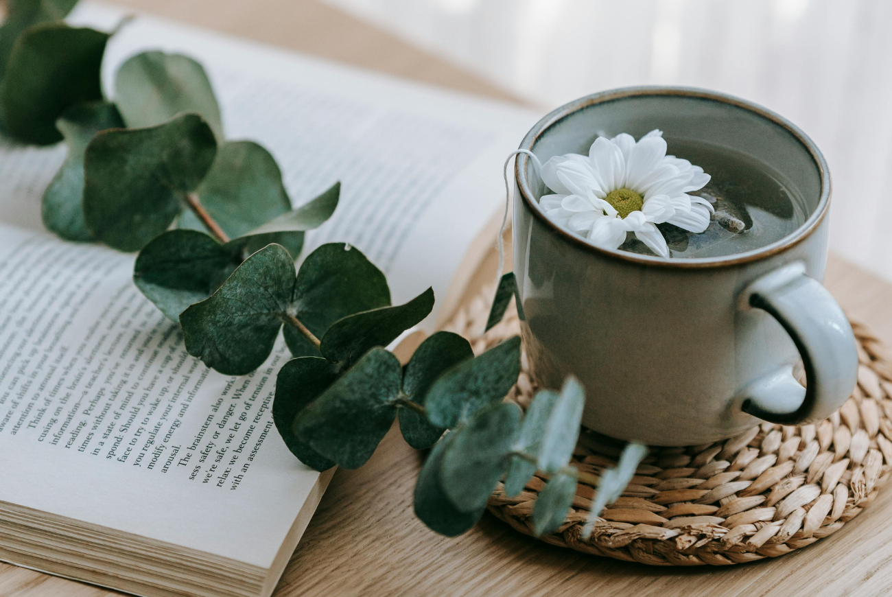 How to: je eigen theetuin maken met kruiden