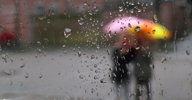 Hij is weer voorbij, die mooie zomer... Over twee dagen is het volop herfst!