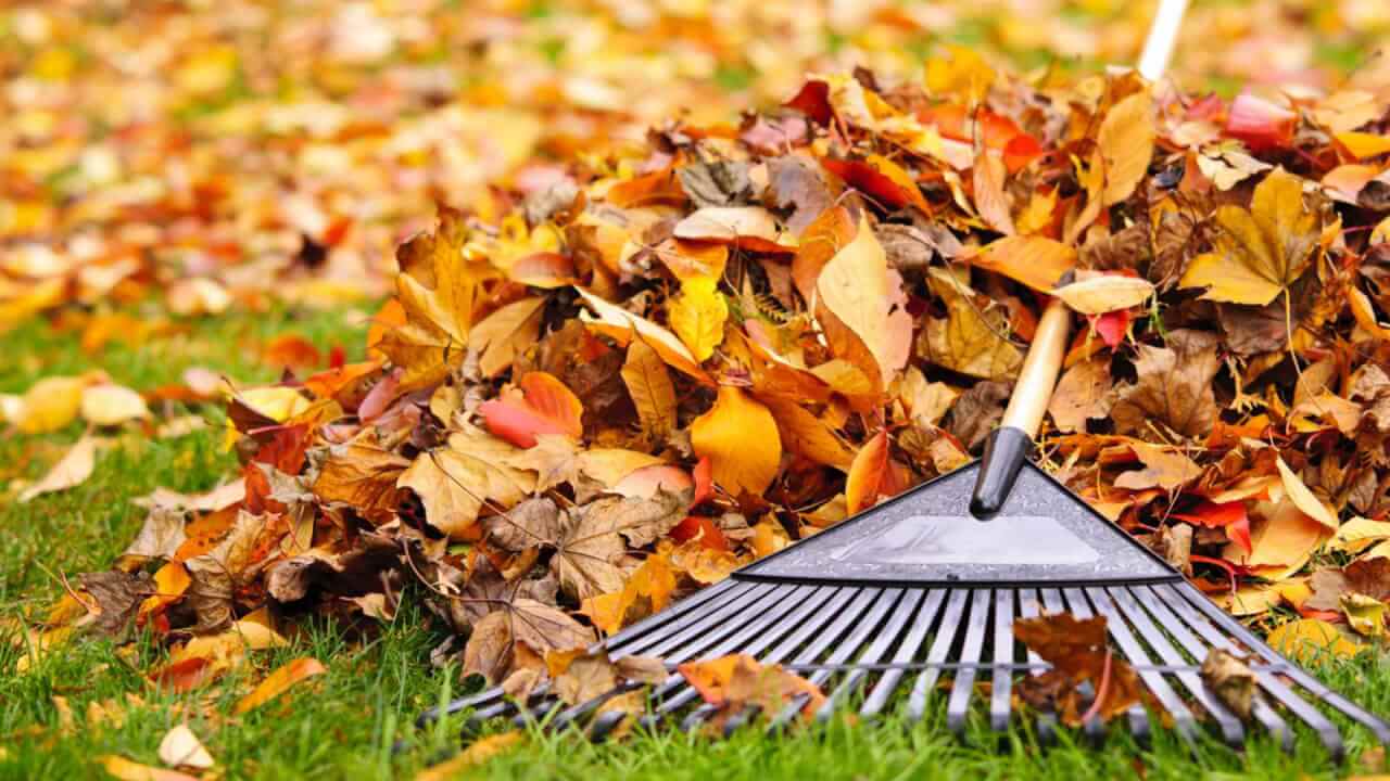 Hij is weer voorbij, die mooie zomer! Hoe maak je nu eigenlijk de tuin herfstklaar? Volg deze geniale tips!