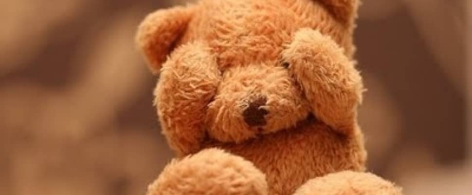 Waarom heet een teddybeer eigenlijk teddybeer? Dit wist je niet!