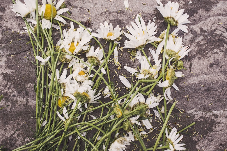 Vrouw verwijdert verf van een schilderij en onthult het 50 jaar oude geheim van haar man