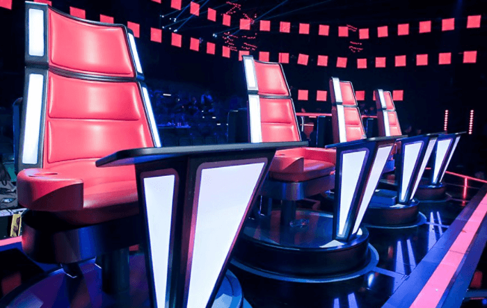Is DEZE zangeres de nieuwe coach van The Voice of Holland? DEZE foto zou het bewijzen!