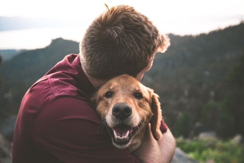 Lief: dit zijn 9 tekenen dat je hond echt van je houdt
