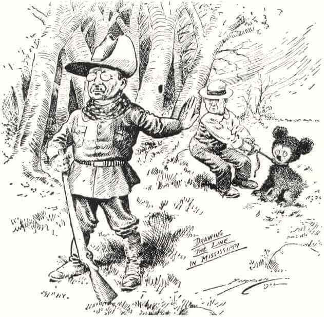 teddy