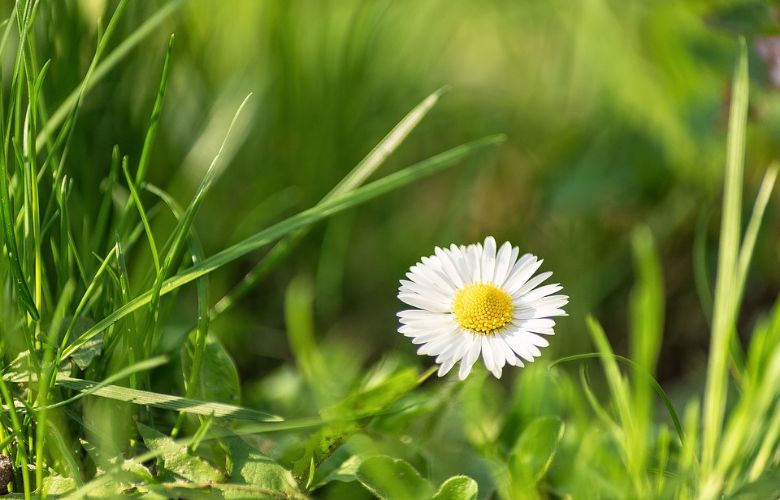 Zomerweer in aantocht: vrijdag mogelijk 27 graden