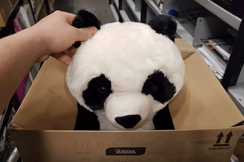 Jongen (10) laat hartverscheurend briefje achter omdat hij een pandaknuffel niet kan betalen, maar dan gebeurt er iets geweldigs!
