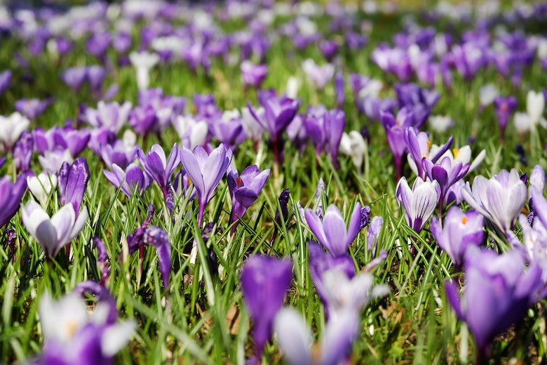 Lenteweer op komst! Tijd voor een terrasje in de zon?