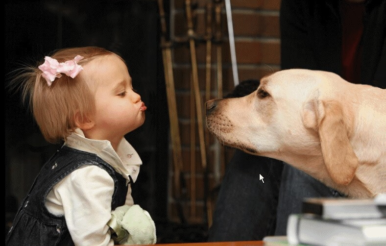 Een lekker natte kus van je hond, sla die maar liever even over!