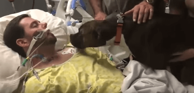VIDEO: wat ontzettend tragisch.. Deze hond neemt afscheid van zijn stervende baasje in het ziekenhuis..