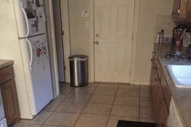 Kan jij hem vinden? Er schijnt een hond verstopt te zijn op deze foto