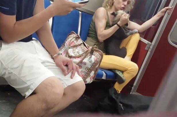Verschrikkelijk: vrouw bijt haar hond in de metro en omstander filmt het gebeuren..