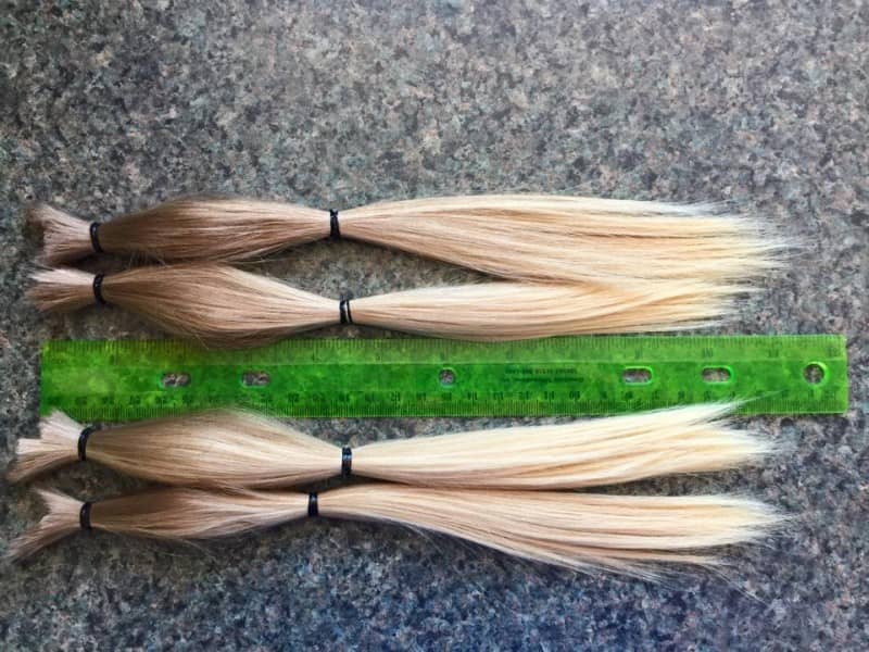 haren