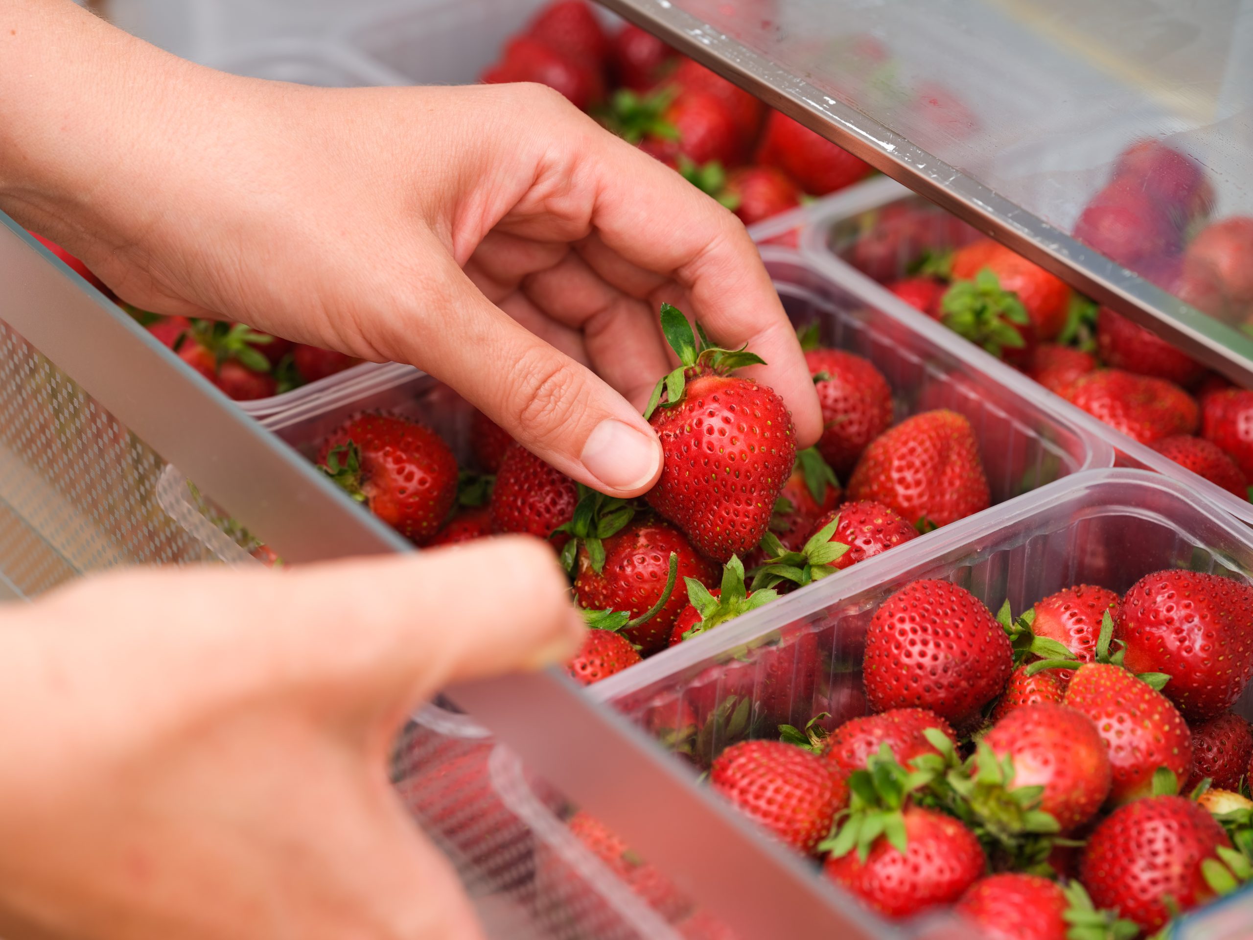 Aardbeien: vergeet de koelkast, deze eenvoudige methode houdt ze langer vers