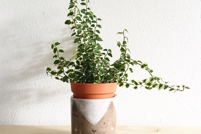 Zo krijgen je planten genoeg water als je op vakantie bent! Heel handig dit!