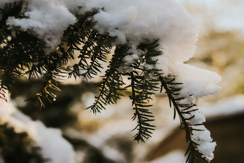 Krijgen we eindelijk dit jaar een witte kerst? Dit zegt een weerman
