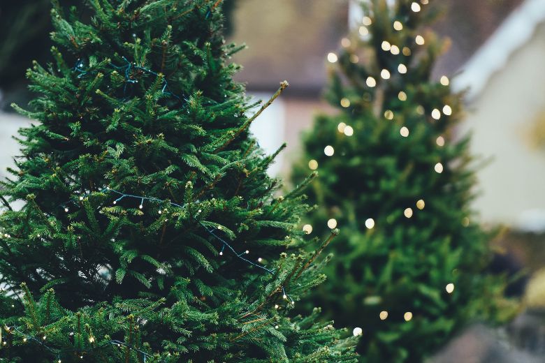 De prijs van kunstkerstbomen is dit jaar flink gestegen