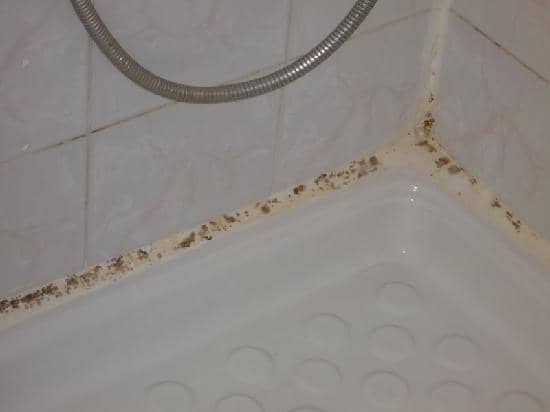 Last van vieze randjes in je badkamer? Zo kom je van de schimmel af!