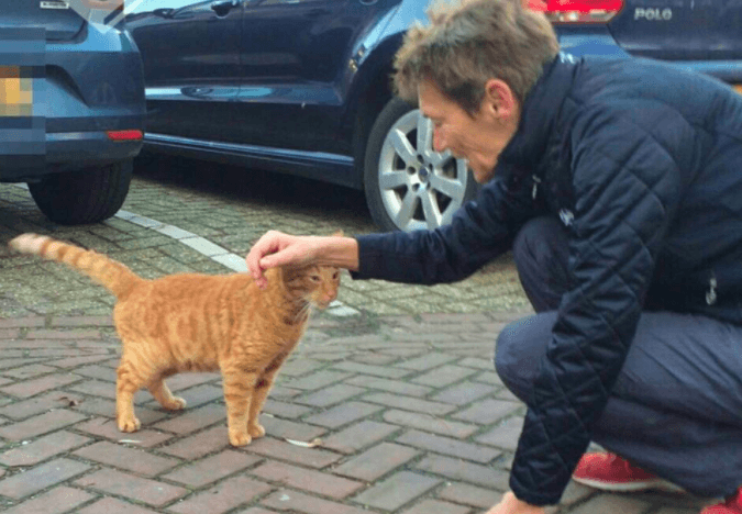 Een klein wonder: Vanaf eind september vermiste kat meldt zich bij politie Haarlem!