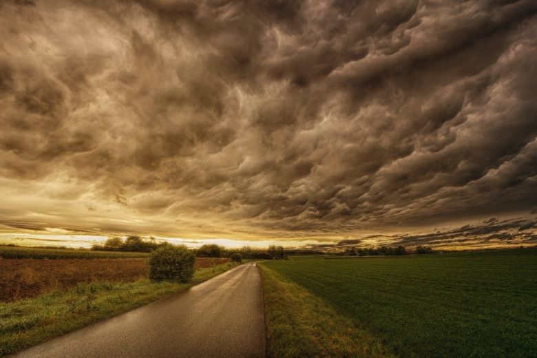 Bomen op het spoor en veel schade: dit richtte storm Eunice vrijdag aan