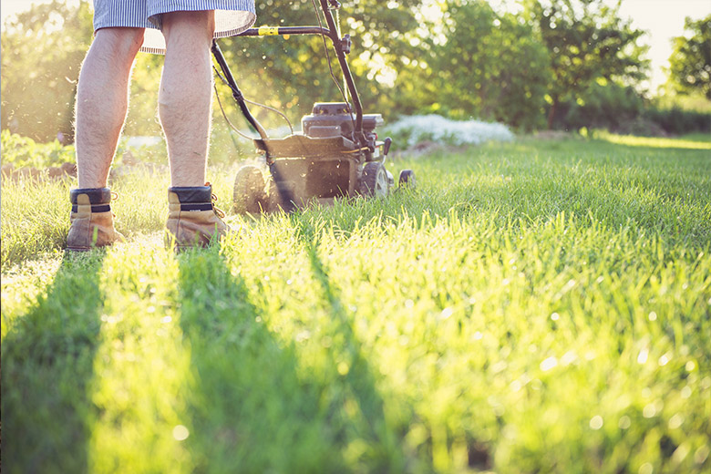 Goed om te weten: mag je gras al maaien in februari?