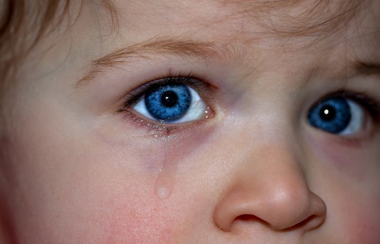 School van overleden kinderen treindrama Oss plaatst emotionele rouwadvertentie