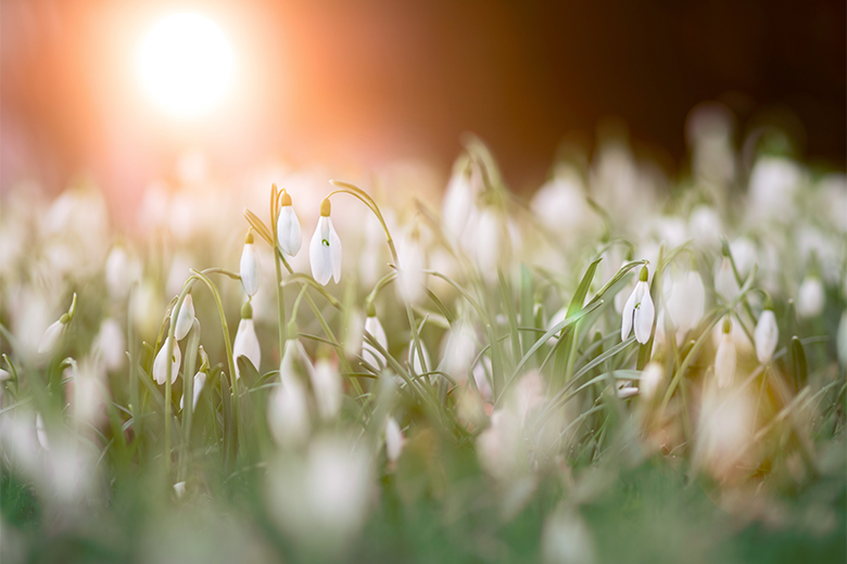 Hallo lente: temperaturen na weekend richting 20 graden