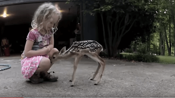 VIDEO: dit babyhertje loopt naar een meisje toe... Wat er gebeurt als ze haar hand uitsteekt is net een sprookje!