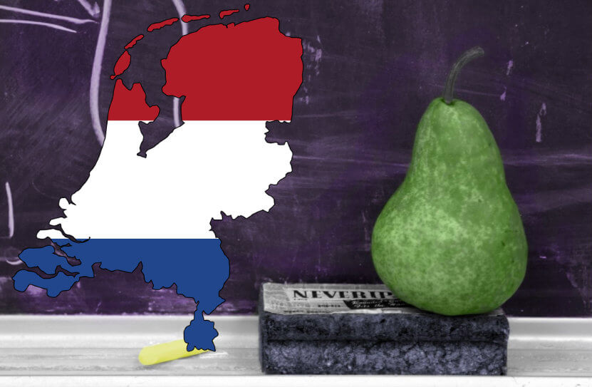Goed in spelling? Dan kom je waarschijnlijk uit deze provincie!