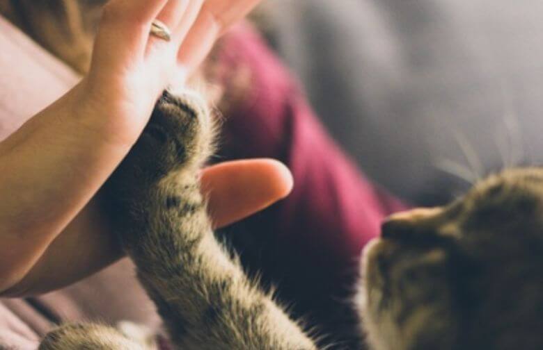 Praat jij vaak tegen dingen en dieren? Geen zorgen: je bent niet gek, maar juist heel slim!