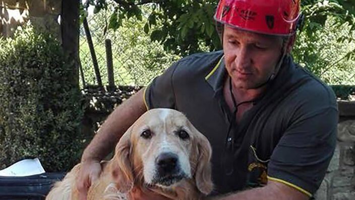 VIDEO: Deze hond heeft echt een engeltje op zijn schouder zitten! Wat geweldig, dit filmpje moet je zien!