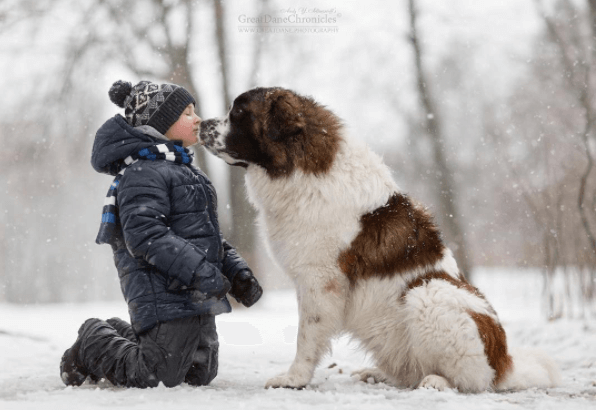Deze fotoserie moet je hebben gezien: "Kleine kinderen en hun grote honden!"