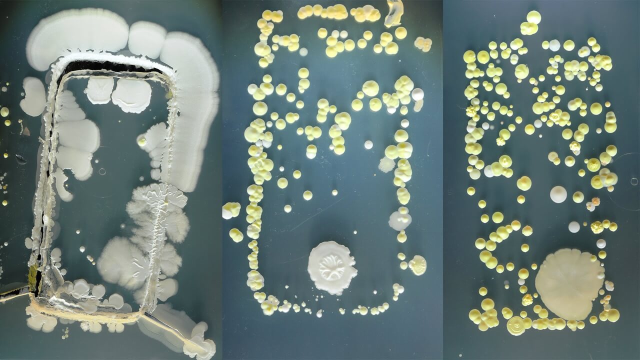 Let op, deze elektronische apparaten zitten vol bacteriën! Maak ze hierom goed schoon!