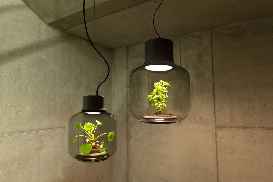 Lampen voor planten 2