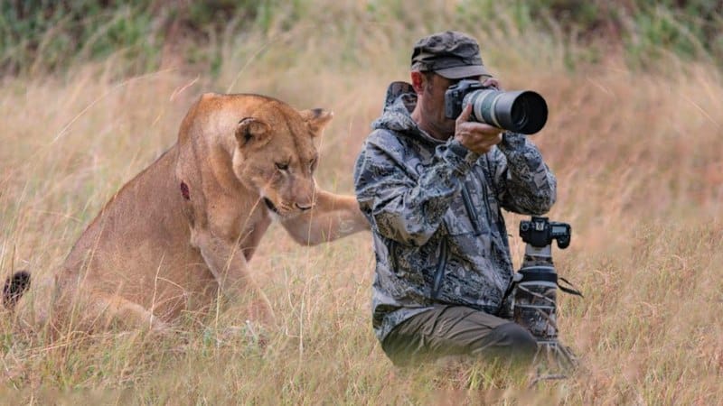 Leeuw zoekt hulp van fotograaf - De ongelooflijke waarheid onthuld