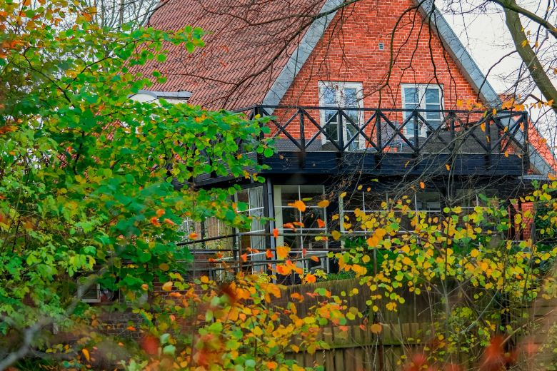 Bladeren in de tuin? Dit is waarom je ze beter kunt laten liggen