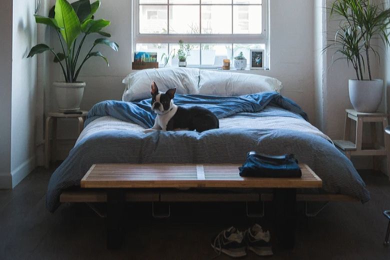 9 dingen die je nooit onder het bed moet bewaren