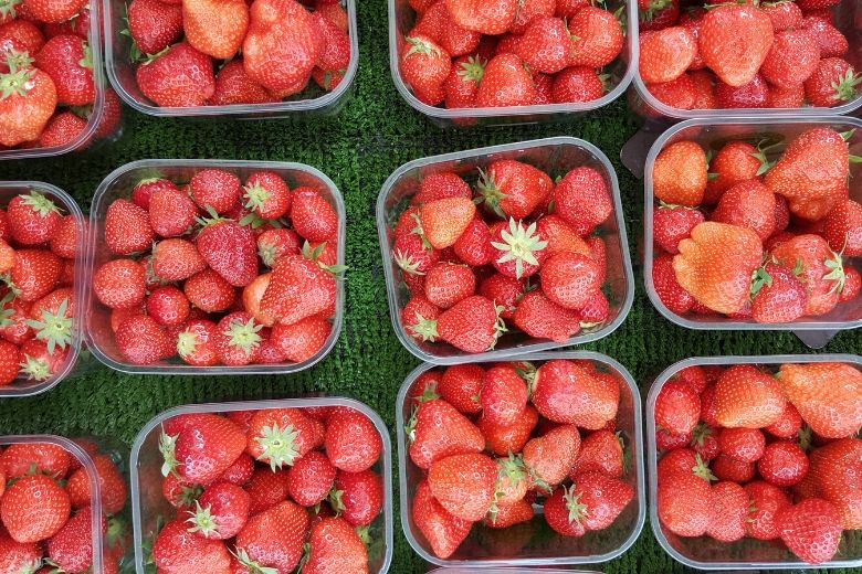 Wist jij dit over onze Hollandse aardbeien? Dit hadden wij niet verwacht..