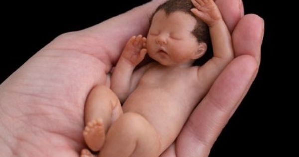 baby2