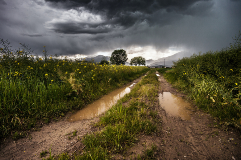 Code geel: onweersbuien en hagel verwacht vandaag