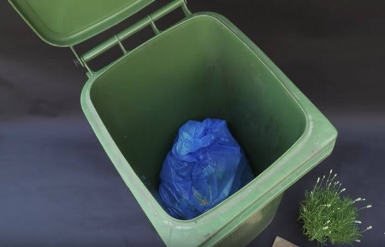 Tropische temperaturen op komst: tijd om de afvalcontainer alvast goed schoon te maken