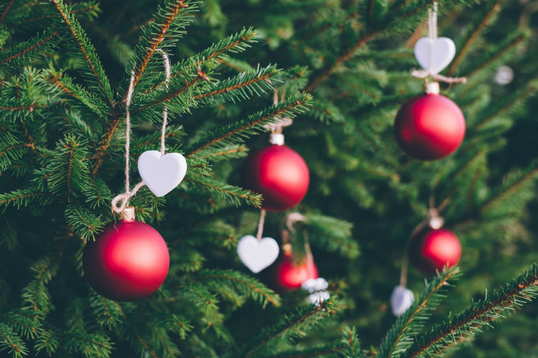 Zo blijft je kerstboom langer mooi