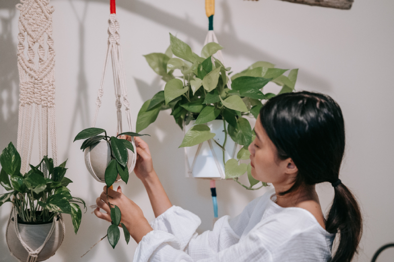 Handig om te weten: zo geef je hangplanten water