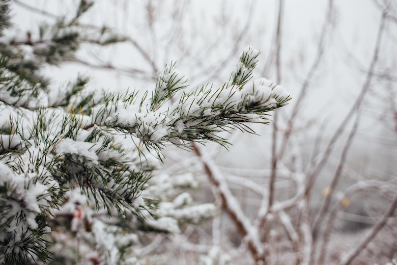 Winter op komst: eerste landelijke strooiactie en lagere temperaturen