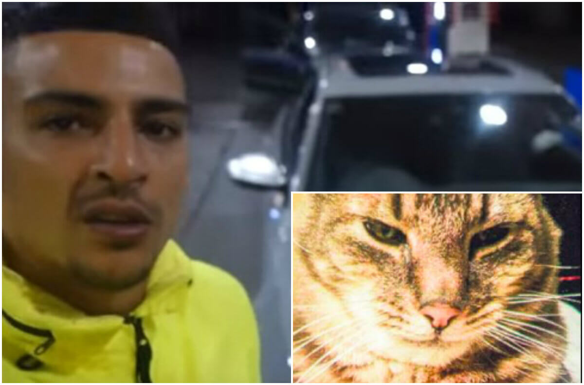 SHOCKING: Rapper Boef blijkt ook nog een dierenmoordenaar te zijn! Dit kan toch niet?!