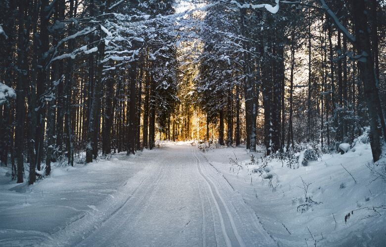 Pak je handschoenen maar uit de kast: het gaat sneeuwen dit weekend én het blijft liggen!