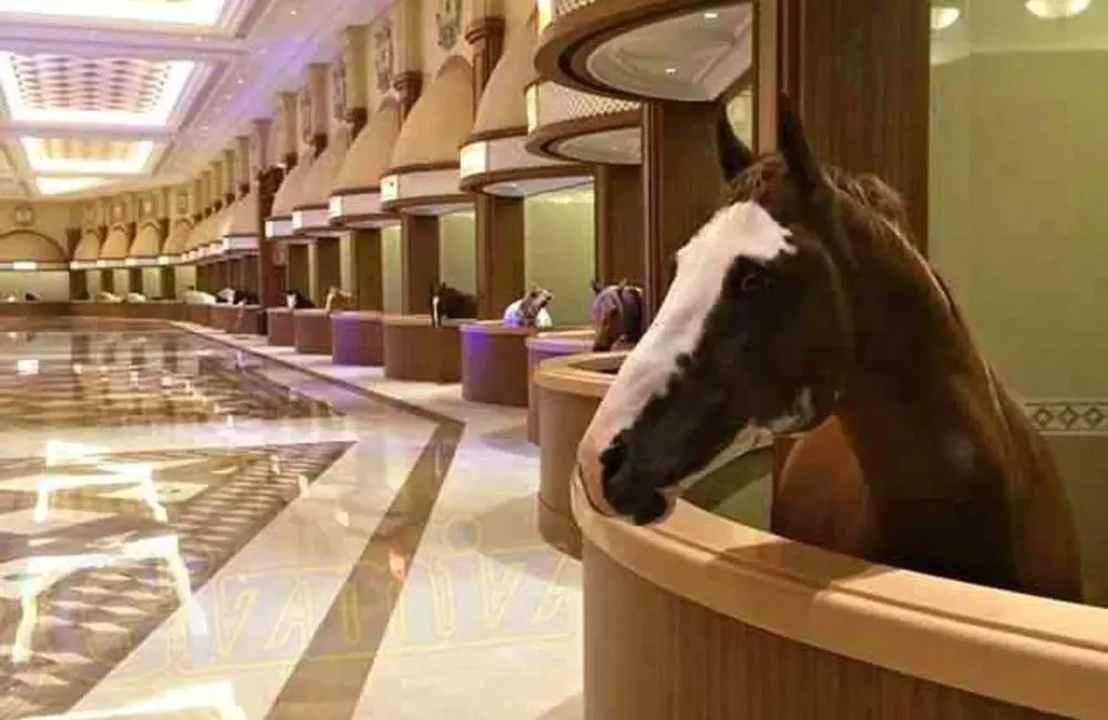 47 gekke dingen die je alleen in Dubai vindt
