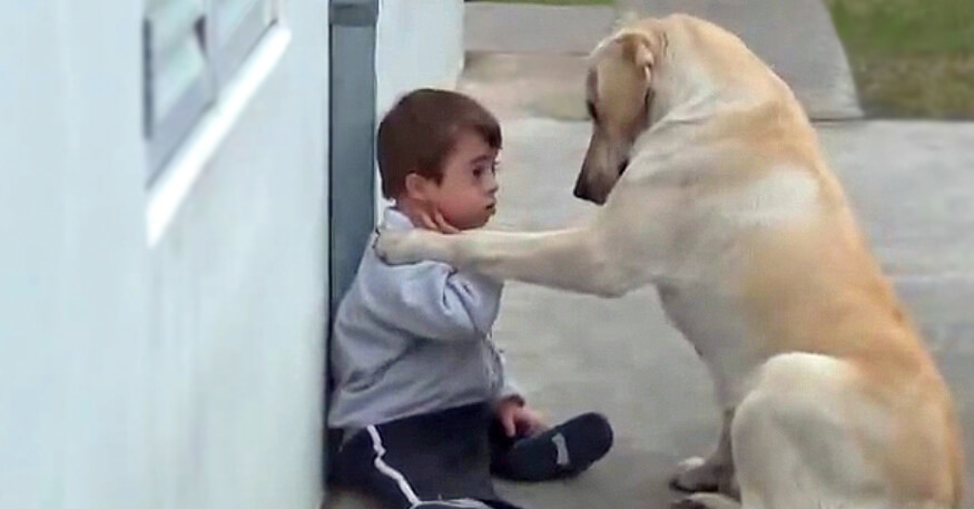 Dit kleine jongetje met down-syndroom had geen vriendjes, tot hij deze hond tegenkwam...Dit filmpje moet je zien!